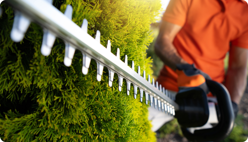Lawn care 3