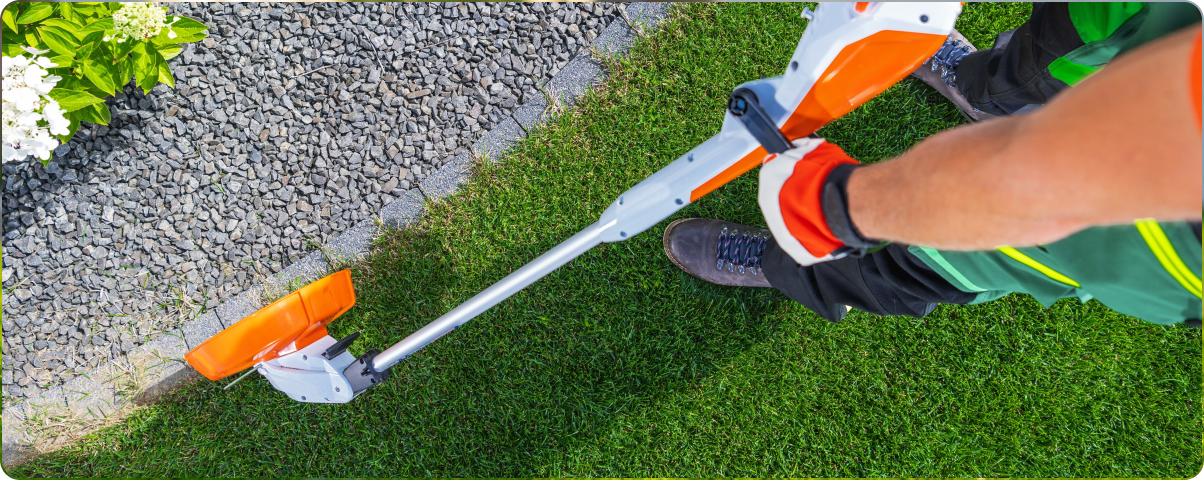 yard maintenance 