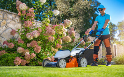 Expert Landscaping Tips For Beautiful Outdoor Spaces