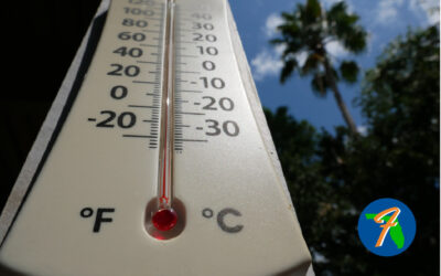 Florida Heat Wave: What Homeowners Should Know About This Summer’s Extreme Heat
