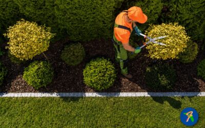 How to Choose Lawn Care Services in Florida That Actually Show Up