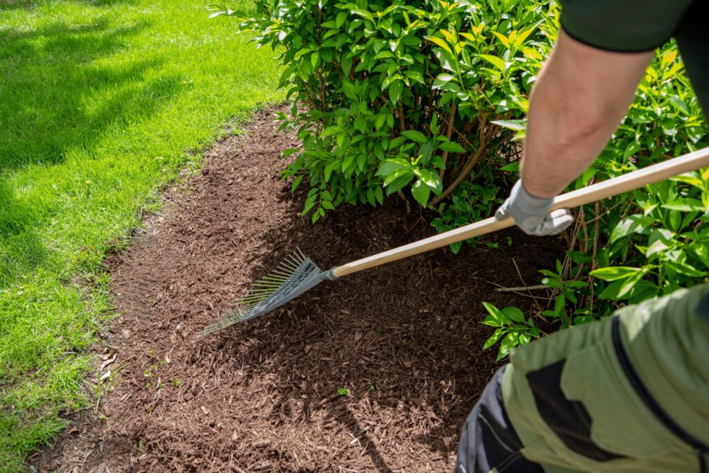 Florida lawn care professional maintaining a neatly edged residential lawn on a sunny day.